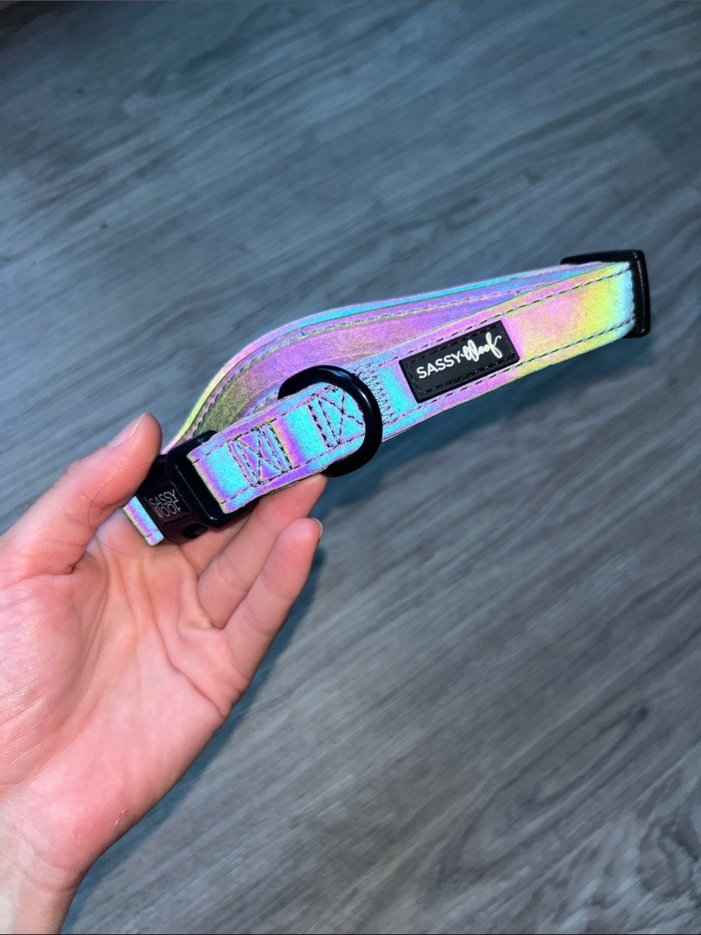 Iridescent Sassy Woof Reflective Dog collar